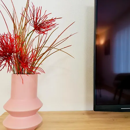 Sunset I Bodensee I St Gallen I Bregenz I Appenzell I Vaduz Appartamento *