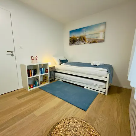 Sunset I Bodensee I St Gallen I Bregenz I Appenzell I Vaduz Apartmán Rorschacherberg